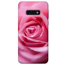 TPU чохол Demsky Розовый бутон для Samsung Galaxy S10e