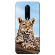 TPU чохол Demsky Proud leopard для OnePlus 7 Pro