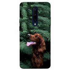 TPU чохол Demsky Собака в зелени для OnePlus 7 Pro