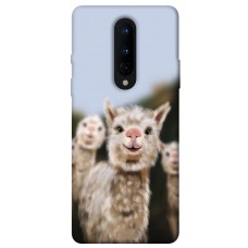 TPU чехол Demsky Funny llamas для OnePlus 8