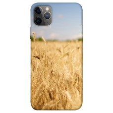 TPU чохол Demsky Поле пшеницы для Apple iPhone 12 Pro Max (6.7")