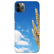 TPU чохол Demsky Пшеница для Apple iPhone 12 Pro Max (6.7")