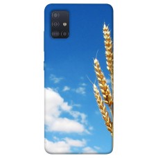 TPU чохол Demsky Пшеница для Samsung Galaxy M51