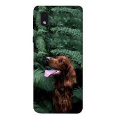 TPU чохол Demsky Собака в зелени для Samsung Galaxy M01 Core / A01 Core