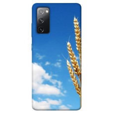 TPU чохол Demsky Пшеница для Samsung Galaxy S20 FE