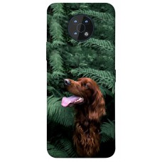 TPU чохол Demsky Собака в зелени для Nokia G50