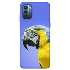 TPU чохол Demsky Попугай ара для Nokia G21