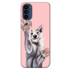 TPU чехол Demsky Cute dog для Motorola Moto G41