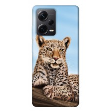 TPU чохол Demsky Proud leopard для Xiaomi Poco X5 Pro 5G