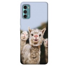 TPU чехол Demsky Funny llamas для Motorola Moto G60