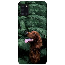 TPU чохол Demsky Собака в зелени для Samsung Galaxy A31