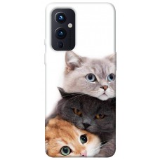 TPU чохол Demsky Три кота для OnePlus 9