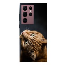TPU чохол Demsky Рыжий кот для Samsung Galaxy S22 Ultra