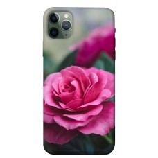 TPU чохол Demsky Роза в саду для Apple iPhone 11 Pro Max (6.5")