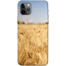 TPU чохол Demsky Поле пшеницы для Apple iPhone 11 Pro Max (6.5")