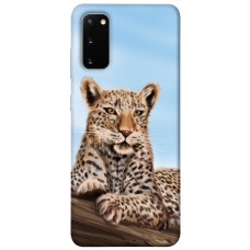 TPU чохол Demsky Proud leopard для Samsung Galaxy S20