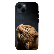 TPU чохол Demsky Рыжий кот для Apple iPhone 14 (6.1")