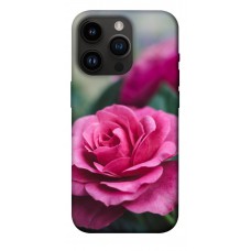 TPU чохол Demsky Роза в саду для Apple iPhone 14 Pro (6.1")