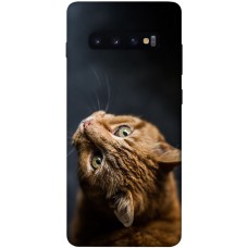 TPU чохол Demsky Рыжий кот для Samsung Galaxy S10+