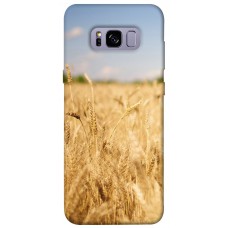 TPU чохол Demsky Поле пшеницы для Samsung G955 Galaxy S8 Plus