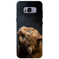 TPU чохол Demsky Рыжий кот для Samsung G955 Galaxy S8 Plus
