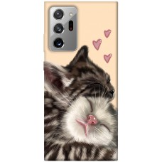 TPU чохол Demsky Cats love для Samsung Galaxy Note 20 Ultra