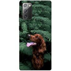 TPU чохол Demsky Собака в зелени для Samsung Galaxy Note 20