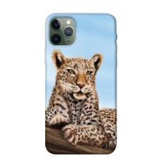 TPU чехол Demsky Proud leopard для Apple iPhone 11 Pro (5.8")