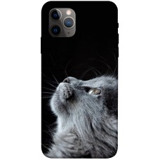 TPU чехол Demsky Cute cat для Apple iPhone 11 Pro (5.8")