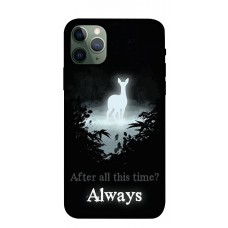 TPU чехол Demsky Magic time Гарри Поттер style 1 для Apple iPhone 11 Pro (5.8")