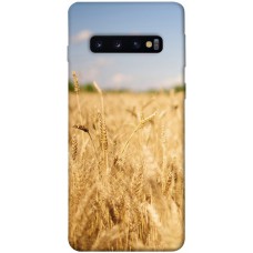 TPU чохол Demsky Поле пшеницы для Samsung Galaxy S10