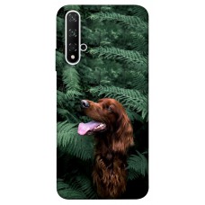 TPU чохол Demsky Собака в зелени для Huawei Honor 20 / Nova 5T