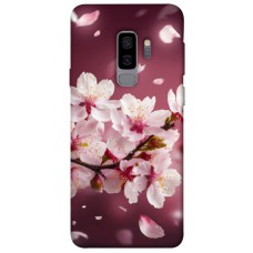 TPU чохол Demsky Sakura для Samsung Galaxy S9+