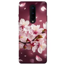 TPU чехол Demsky Sakura для OnePlus 8