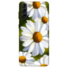 TPU чехол Demsky Ароматна ромашка для Samsung Galaxy S21+