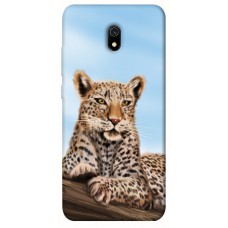 TPU чехол Demsky Proud leopard для Xiaomi Redmi 8a