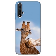 TPU чохол Demsky Милые жирафы для Huawei nova 5T