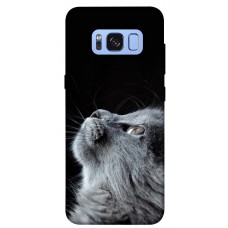 TPU чохол Demsky Cute cat для Samsung G950 Galaxy S8
