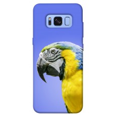 TPU чехол Demsky Попугай ара для Samsung G950 Galaxy S8