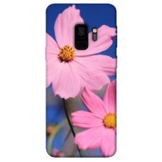 TPU чохол Demsky Розовая ромашка для Samsung Galaxy S9