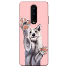 TPU чохол Demsky Cute dog для OnePlus 8