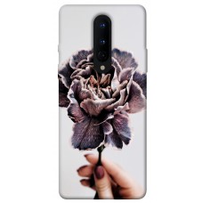 TPU чехол Demsky Гвоздика для OnePlus 8