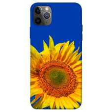 TPU чохол Demsky Sunflower для Apple iPhone 12 Pro Max (6.7")