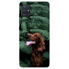 TPU чохол Demsky Собака в зелени для Samsung Galaxy M51