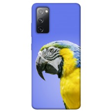 TPU чохол Demsky Попугай ара для Samsung Galaxy S20 FE