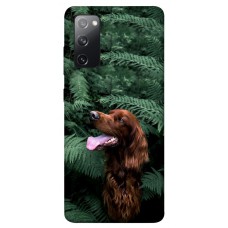 TPU чохол Demsky Собака в зелени для Samsung Galaxy S20 FE