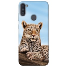 TPU чохол Demsky Proud leopard для Samsung Galaxy A11