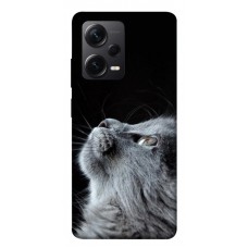 TPU чохол Demsky Cute cat для Xiaomi Poco X5 Pro 5G