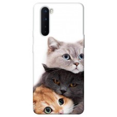 TPU чохол Demsky Три кота для OnePlus Nord