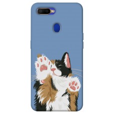 TPU чехол Demsky Funny cat для Oppo A5s / Oppo A12